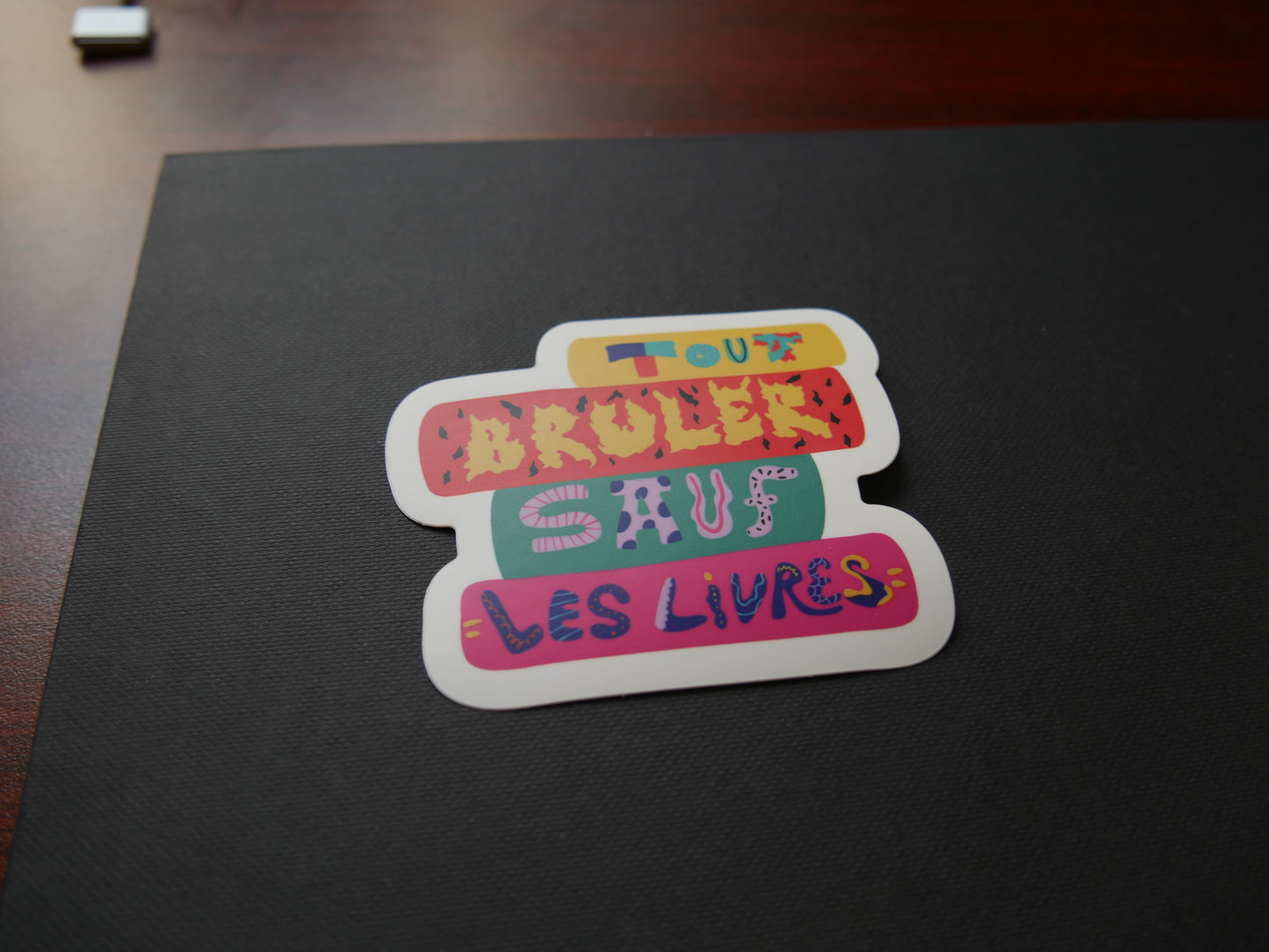 Précommande - Sticker "Tout brûler sauf les livres"